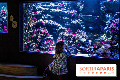L'Aquarium Tropical de la Porte Dorée se renouvelle 
