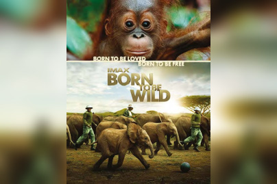 born to be wild, nés pour être libre à la Géode