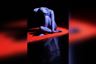 sortez en famille, cnd, théâtre chaillot