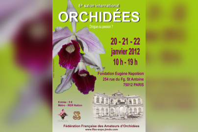 salon international des orchidées 2012