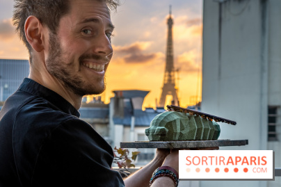 La Bûche de Noël Cigale de Bryan Exposition pour l'Institut Raphael