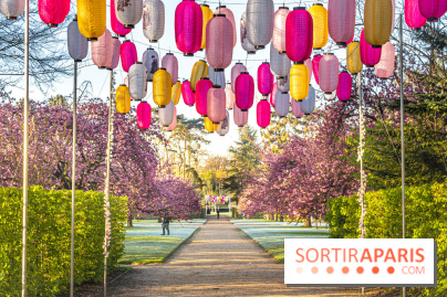 Hanami au Parc de Sceaux 2022, la fête des cerisiers en fleurs