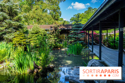 Les jardins japonais du Parc Floral de Paris au Bois de Vincennes 