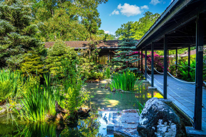 Les jardins japonais du Parc Floral de Paris au Bois de Vincennes 