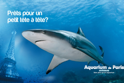 brunch aquarium de paris