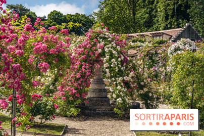 Les plus belles roseraies à Paris et en Île-de-France