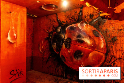 Colors Festival 2023, l'immense expo street art - Sax