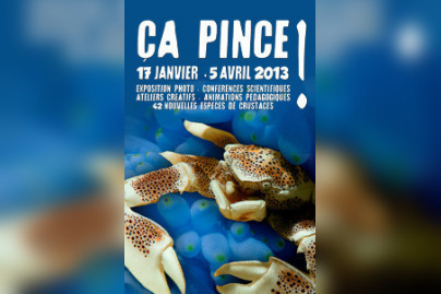  Ça pince à l'Aquarium de Paris