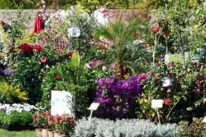 La Plairiale de Montigny, la Fête des plantes à la Ferme du Manet