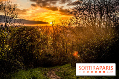Colline d’elancourt - colline de la revanche 