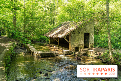 Fête de la Nature 2023 dans les Yvelines (78) : Le programme