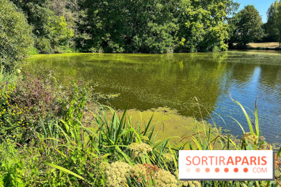 Fête de la Nature à Issy-les-Moulineaux, le programme gratuit