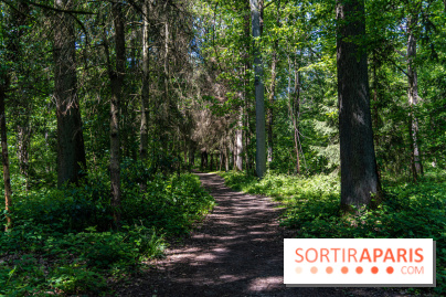 Nuit des forêts Rambouillet 2023