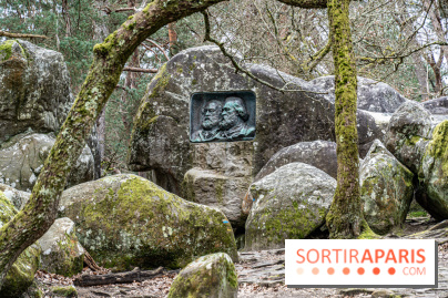 Nuit des Forêts à Fontainebleau 2023 entre art, nature et découvertes gratuites