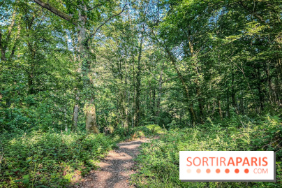 Les Nuits des Forêts 2023 dans le Val-d'Oise (95) : Le programme