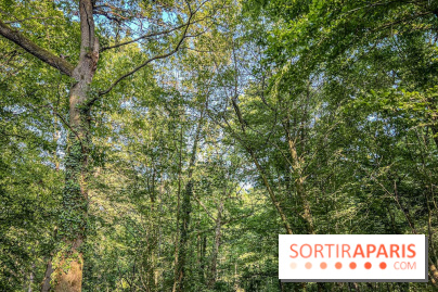 Les Nuits des Forêts 2023 en Seine-Saint-Denis (93) : Le programme