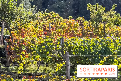 La Fête de la vigne à Suresnes 