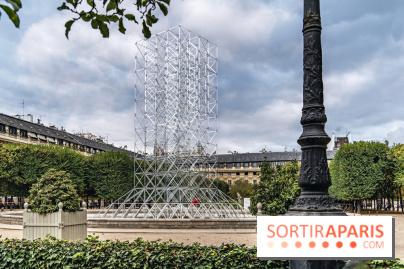 Réflexions d'Emmanuel Barrois, Une installation monumentale insolite au Jardin du Palais Royal 