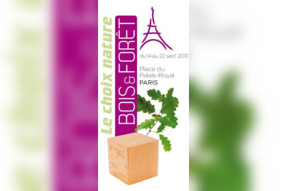 Bois et Forêt, Place du Palais Royal