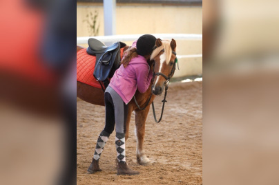 La Fête du Cheval au Jardin d'Acclimatation