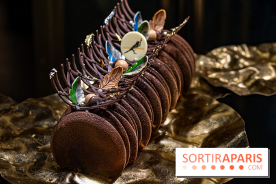 La Bûche de Noël du Collectionneur 2023