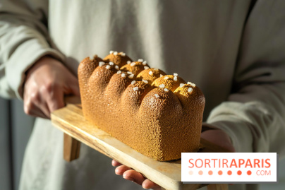 La Bûche de Noël trompe l'œil brioche originale de chez Ochre