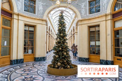 11 spots photos de Noël canons à Paris 2023 pour profiter des illuminations magiques - galerie Vivienne