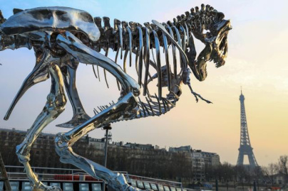 Le 1er Salon des Indomptables au Port de la Conférence