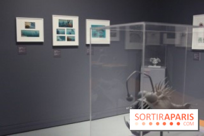 Pixar, l'exposition au Musée Art Ludique