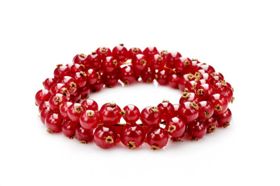 Festival de la Photographie Culinaire : Bracelet