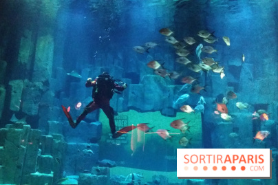 Exposition Under The Pole à l'Aquarium de Paris