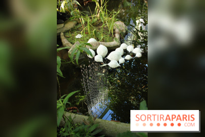 Noces Végétale au Jardin des Plantes : ilots