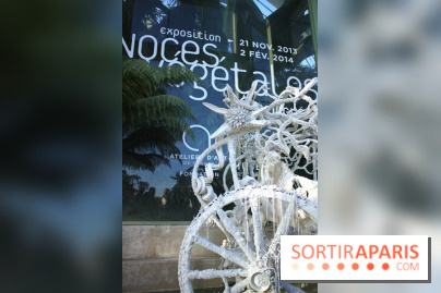 Noces Végétale au Jardin des Plantes : la calèche