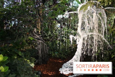 Noces Végétale au Jardin des Plantes : les mariés