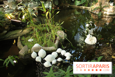 Noces Végétale au Jardin des Plantes : ilots