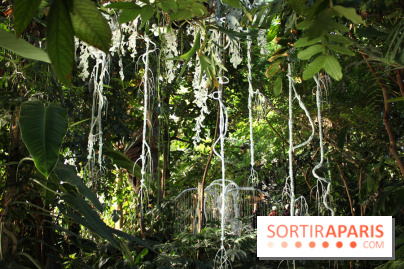 Noces Végétale au Jardin des Plantes : portique de dentelle