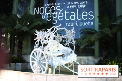 Noces Végétales au Jardin des Plantes : la calèche