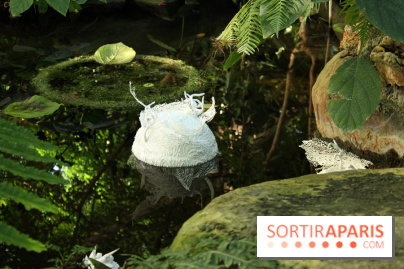 Noces Végétales au Jardin des Plantes