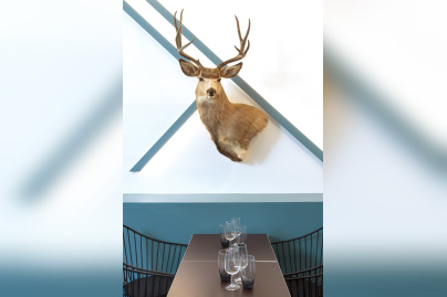 Jeanne b : le cerf de la table d'hôte
