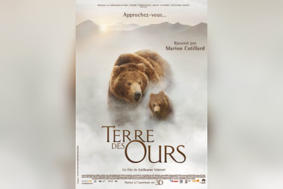 Terre des ours