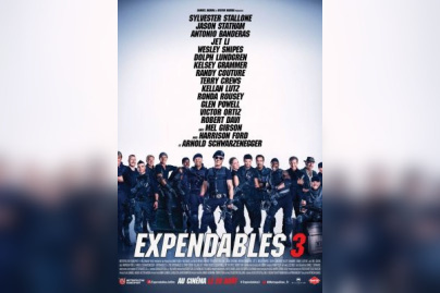 Expendable 3
