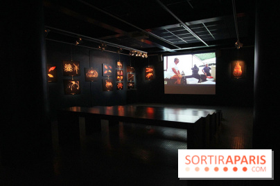 Exposition coquillages et crustacés à l'aquarium de la Porte Dorée