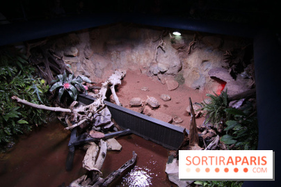 Aquarium de la Porte Dorée à Paris