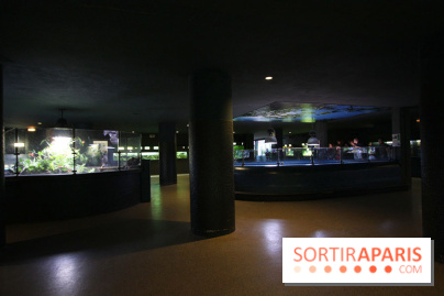 Aquarium de la Porte Dorée à Paris