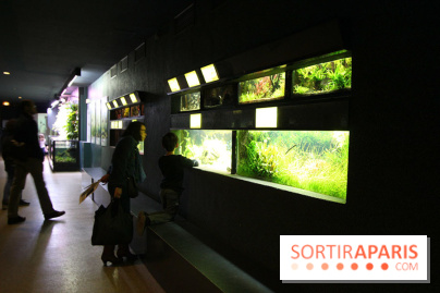 Aquarium de la Porte Dorée à Paris