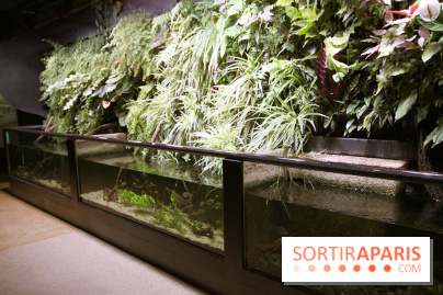 Aquarium de la Porte Dorée à Paris