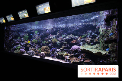 Aquarium de la Porte Dorée à Paris