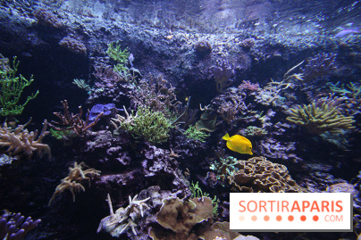 Aquarium de la Porte Dorée à Paris