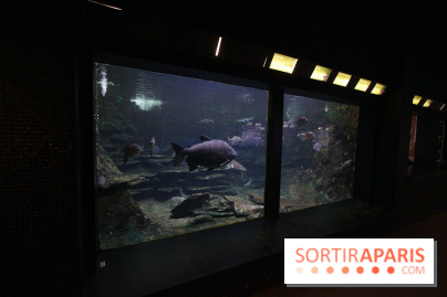 Aquarium de la Porte Dorée à Paris