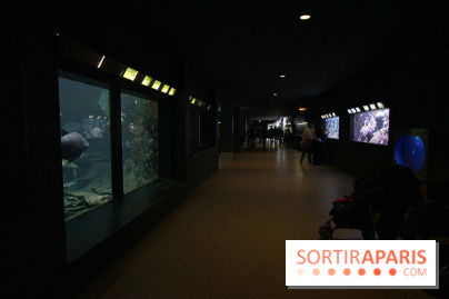 Aquarium de la Porte Dorée à Paris